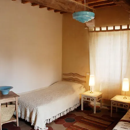 L'asino Vola Murci