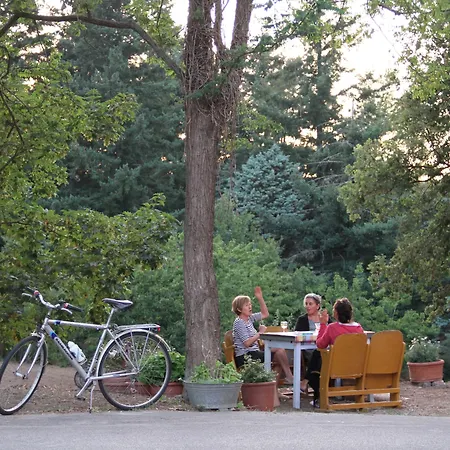 L'asino Vola Nocleg ze śniadaniem 3*